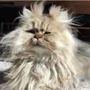 好听的名字好看的人