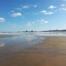 沛县姚桥金马家具城