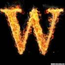 W꧁꫞温💞꫞꧂