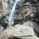 屹立在寒冬的奇迹