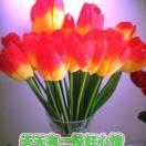 邹玉珍