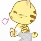 小风风