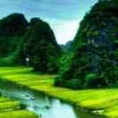 归零❤️重启