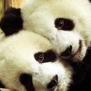 亿峰💰🏃🚶🏃🚶