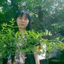 顺其自然