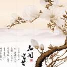 华