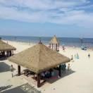 似曾相识梦归来