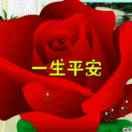 涛声依旧