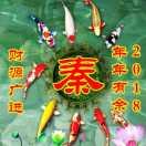 孤星