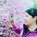 三姐板面馆招学员