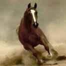 爷不帅，但很坏