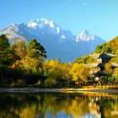 丛头在来