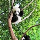 启航