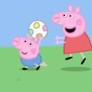 ☘️☘️孟加拉豌豆尖尖☘️☘️