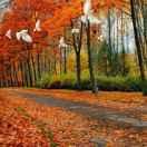 德惠市建设街李记胡同传统铜锅涮肉店