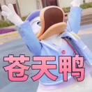 钱不够花