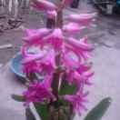 一生平安