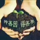 种善因得善果（拒绝私聊）