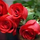 🌹✨紫竹語嫣✨🌹