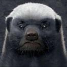 🌈🌈空空荡荡🌈🌈