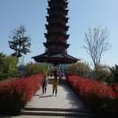 🍀🍀刚好遇见你🍀🍀