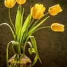 凤铝门窗，厂价直销