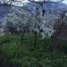 仅洊のゝ⒈缕温渘ゝ