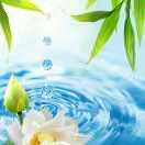 苍了夏蘼齐