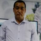 斌哥爱蜜蜂