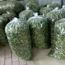 买青红辣椒条茄子条