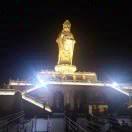 管大红白芍白芷白术