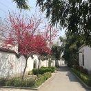学会放下