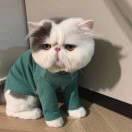 倾听冷暖