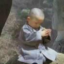 风雨人生