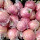 万荣县王显乡张仪耀军果品购销中心