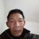 人生无悔