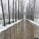 yu3shi