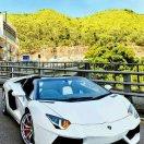 轻风绕指柔，老孙