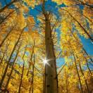 中山堂铁板鱿鱼