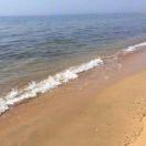 百羽汇原生态农场 碳香果木忆味烤鸭