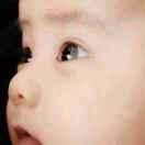 A0  蒢ㄋ伱，我別無所求