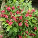 海阔天空，连赞拉黑