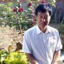 小苹果