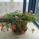 我就是我，伤我心的人永远都不会原谅他她们