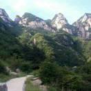 爱理不理，一切随心