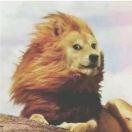 十里春风不如你