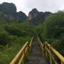 启新