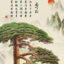 步步高升风雨之后就是彩虹