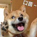 水泥封心