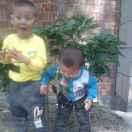 车美臣汽车美容装饰何晓冰